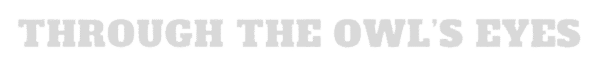 vIAJA (4) (1)